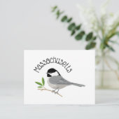 Carte Postale Massachusetts Chickadee (Debout devant)