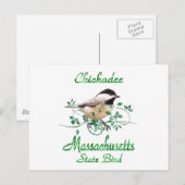 Carte Postale Massachusetts de Chickadee Oiseau d'État (Devant / Derrière)
