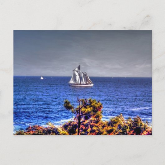 Carte Postale Massachusetts, Gloucester - (Devant)