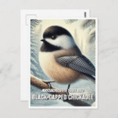 Carte Postale Massachusetts State Bird Chickadee à capuchon noir (Devant / Derrière)