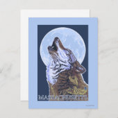 Carte Postale MassachusettsHowling Wolf (Devant / Derrière)