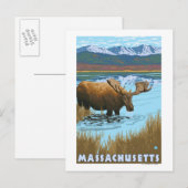 Carte Postale MassachusettsOie Boire dans le lac (Devant / Derrière)