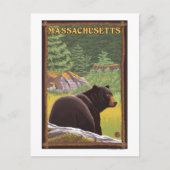 Carte Postale MassachusettsOurs noir en forêt (Devant)