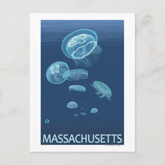 Carte Postale MassachusettsScène de méduses (Devant)