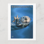 Carte Postale MassachusettsScène de Otter de mer (Devant)