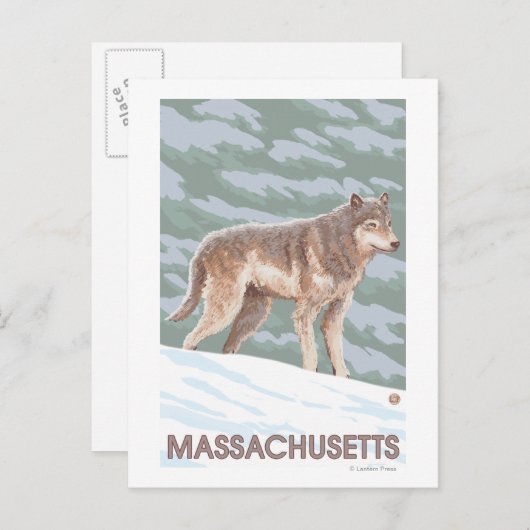 Carte Postale MassachusettsScène Wolf (Devant / Derrière)