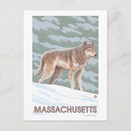 Carte Postale MassachusettsScène Wolf (Devant)