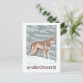 Carte Postale MassachusettsScène Wolf (Debout devant)