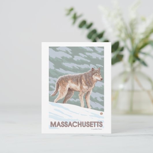 Carte Postale MassachusettsScène Wolf (Debout devant)