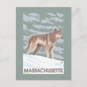 Carte Postale MassachusettsScène Wolf