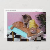 Carte Postale Massage amusant de chats (Devant / Derrière)