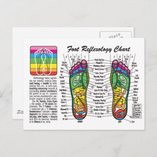 Carte Postale Massage-Réflexologie (Devant / Derrière)