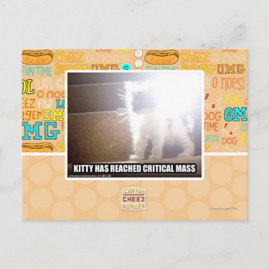 Carte Postale Masse critique Kitty (Devant)