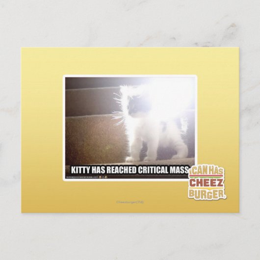 Carte Postale Masse critique Kitty (Devant)