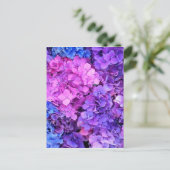Carte Postale Massif bouquet d'hydrangées violettes et bleues (Debout devant)