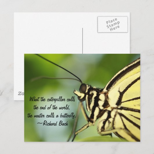 Carte Postale Master Butterfly Photo et devis (Devant / Derrière)