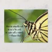 Carte Postale Master Butterfly Photo et devis (Devant)