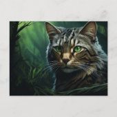 Carte postale Masters of the Wild (Devant)