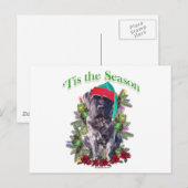 Carte Postale Mastiff 3 "Tis (Devant / Derrière)