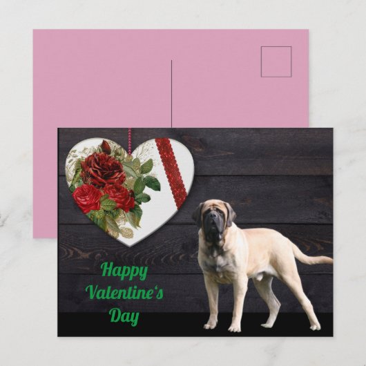 Carte postale Mastiff anglais Saint-Valentin  (Devant / Derrière)
