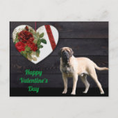 Carte postale Mastiff anglais Saint-Valentin  (Devant)