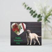 Carte postale Mastiff anglais Saint-Valentin  (Debout devant)