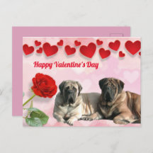 Carte postale Mastiff anglais Saint-Valentin 