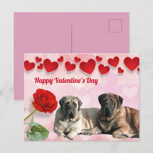 Carte postale Mastiff anglais Saint-Valentin  (Devant / Derrière)