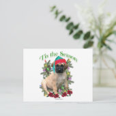 Carte Postale Mastiff Tis (Debout devant)