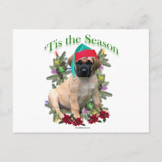 Carte Postale Mastiff Tis (Devant)