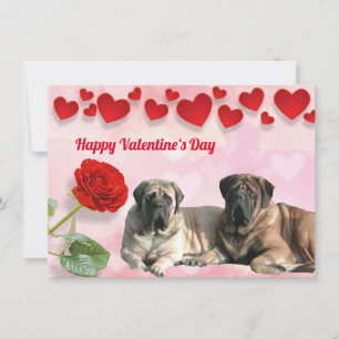 Carte postale Mastiff Valentine’s Day