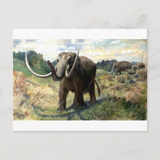 Carte Postale mastodon-1 (Devant)