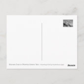 Carte Postale Matabei-Zakura: Weeping Cherry Tree (Dos)