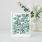 Carte Postale Materia Medica Mint Tea Plante Herbal Study Card (Debout devant)