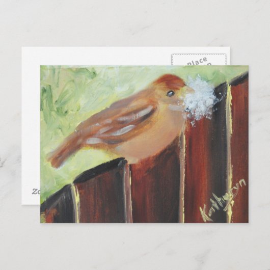 Carte Postale Matériaux de nid (Devant / Derrière)