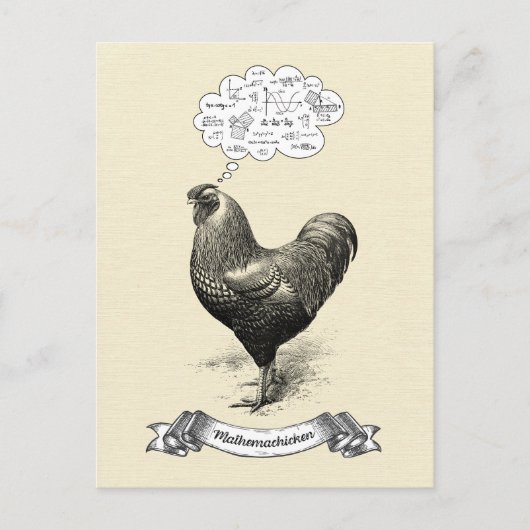 Carte Postale Mathemachicken Funny Math Poulet de poulet Plaisan (Devant)