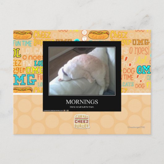 Carte Postale Matin (Devant)