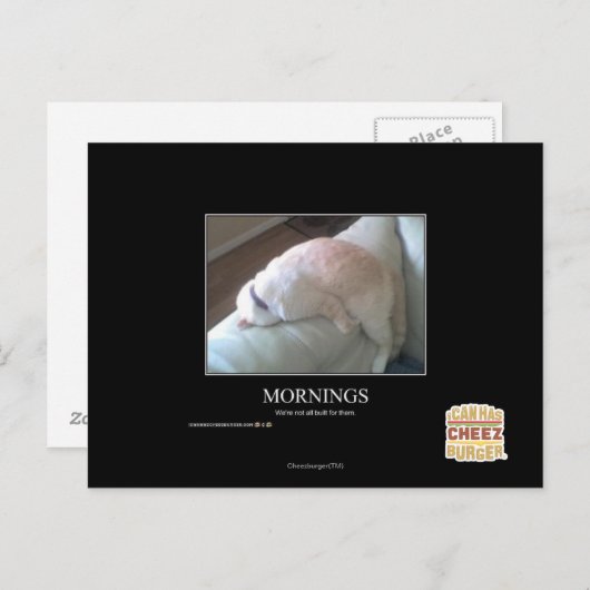 Carte Postale Matin (Devant / Derrière)