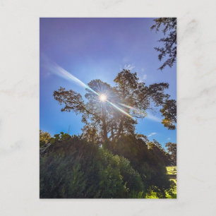 Carte Postale Matin à Milledgeville
