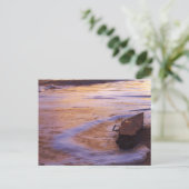 Carte postale Matin Adrift (Debout devant)