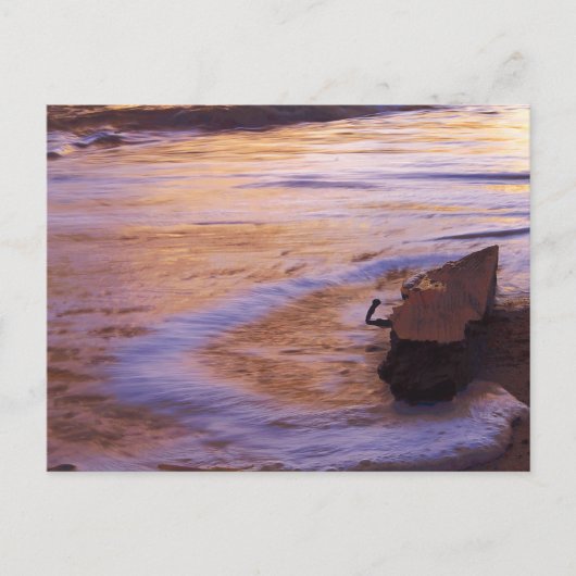 Carte postale Matin Adrift (Devant)