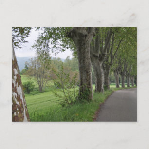 Carte Postale Matin agité en Provence