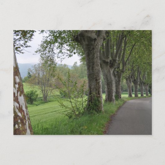Carte Postale Matin agité en Provence (Devant)