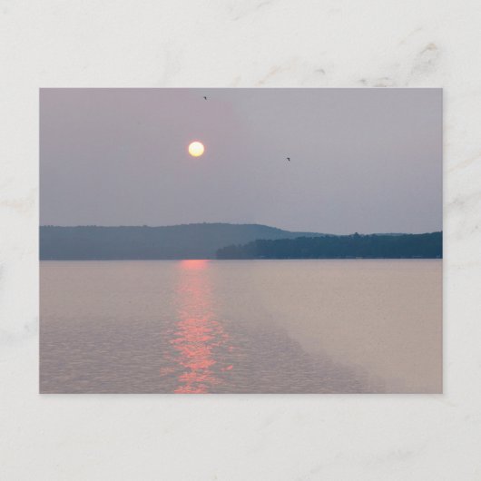 Carte Postale Matin au-dessus d'Elk Lake, Michigan (Devant)