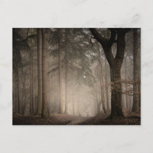 Carte Postale Matin brumeux Rushmere Country Park (0851)