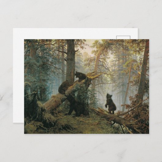 Carte Postale Matin dans une forêt de pins (Devant / Derrière)