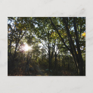Carte Postale Matin d'automne au parc national de Shenandoah