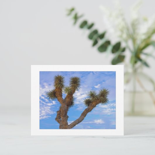 Carte Postale " Matin de mousson " (Debout devant)