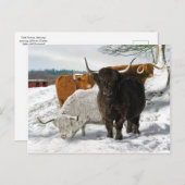 Carte Postale "Matin de neige froide" (Devant / Derrière)