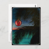 Carte postale 'Matin de Noël tropical' (Devant / Derrière)